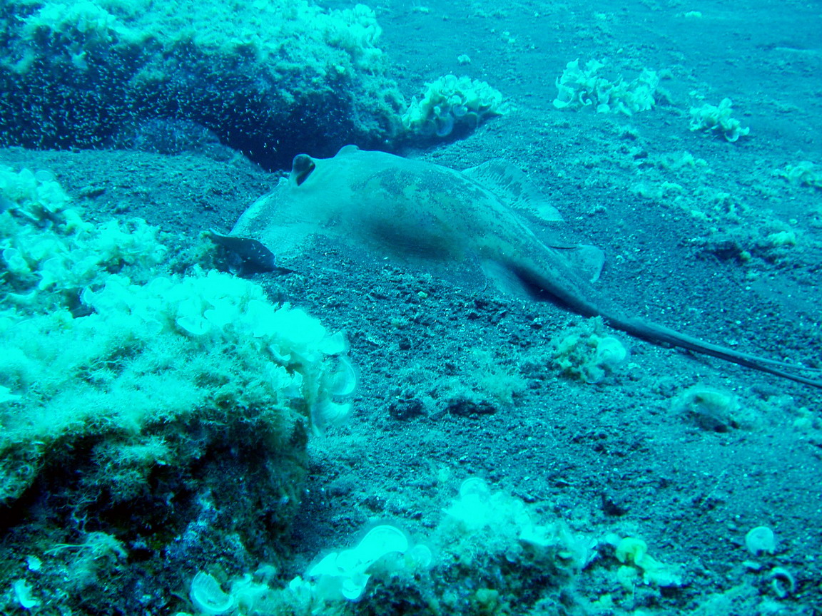 Urlaub 2009 La Palma